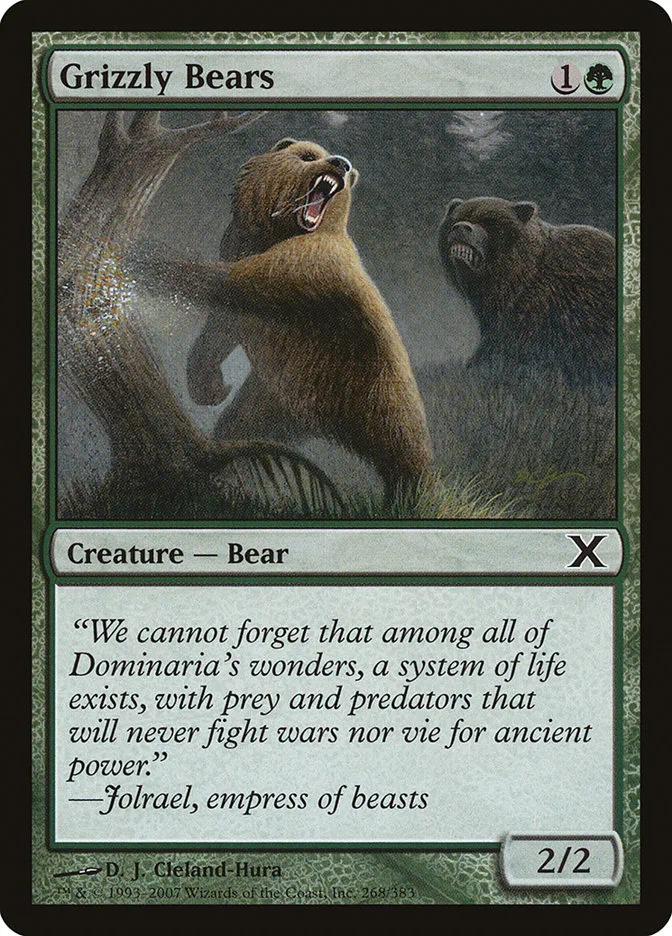Grizzly Bears image 21