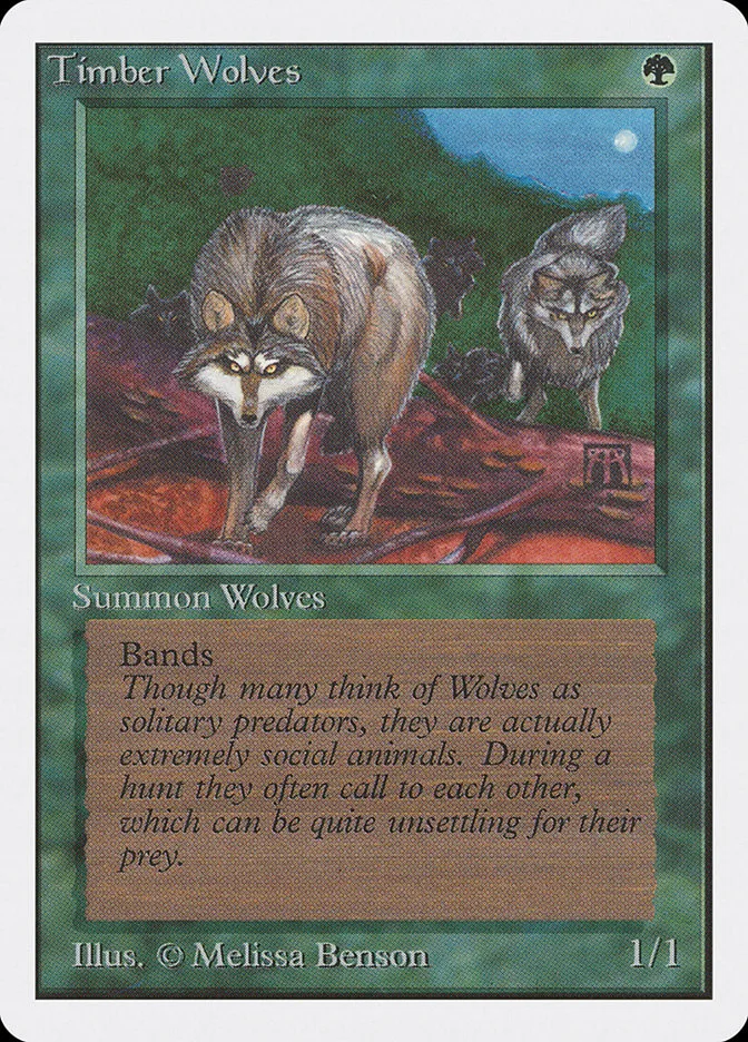 Timber Wolves image 5