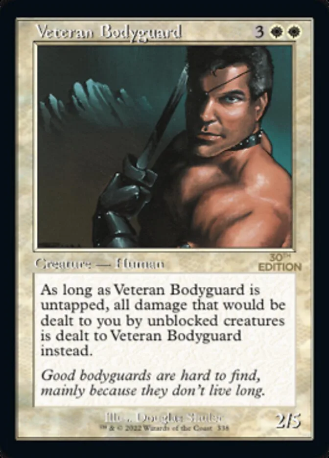 Veteran Bodyguard image 10