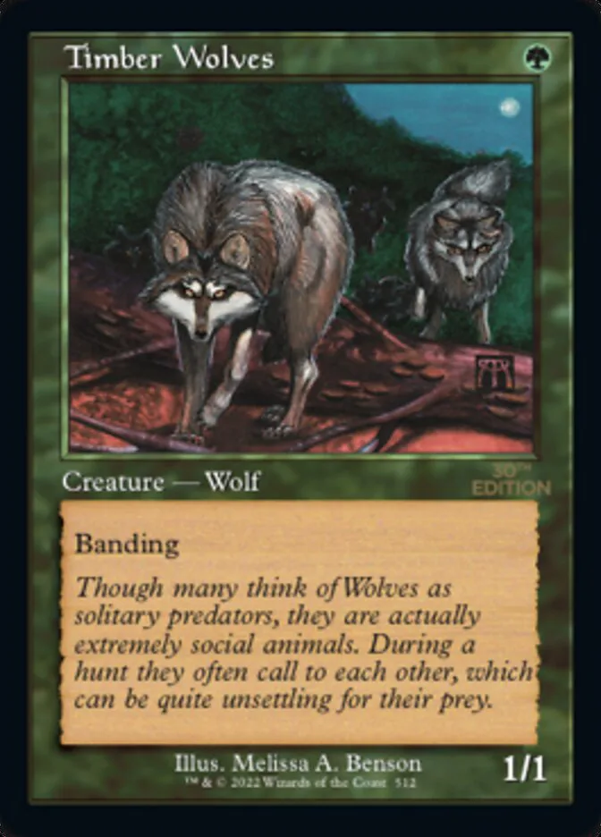 Timber Wolves image 10