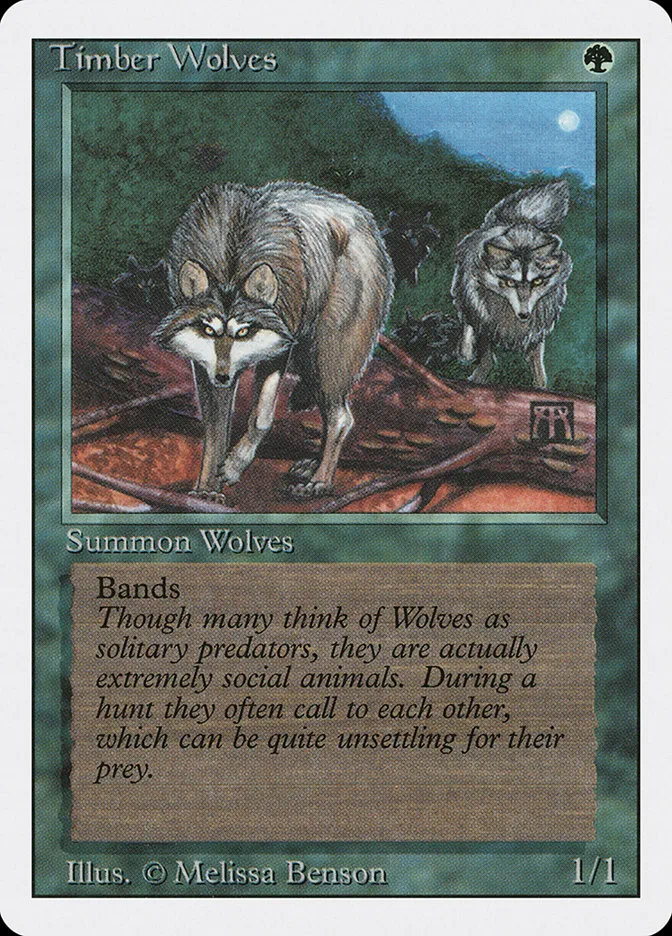 Timber Wolves image 2