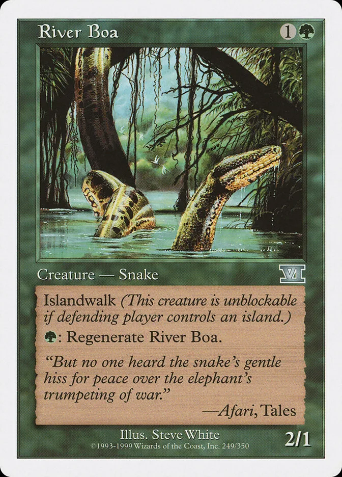 River Boa image 7