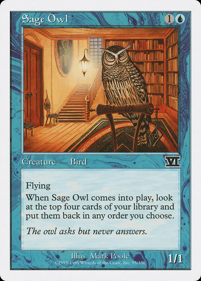 Sage Owl image 3