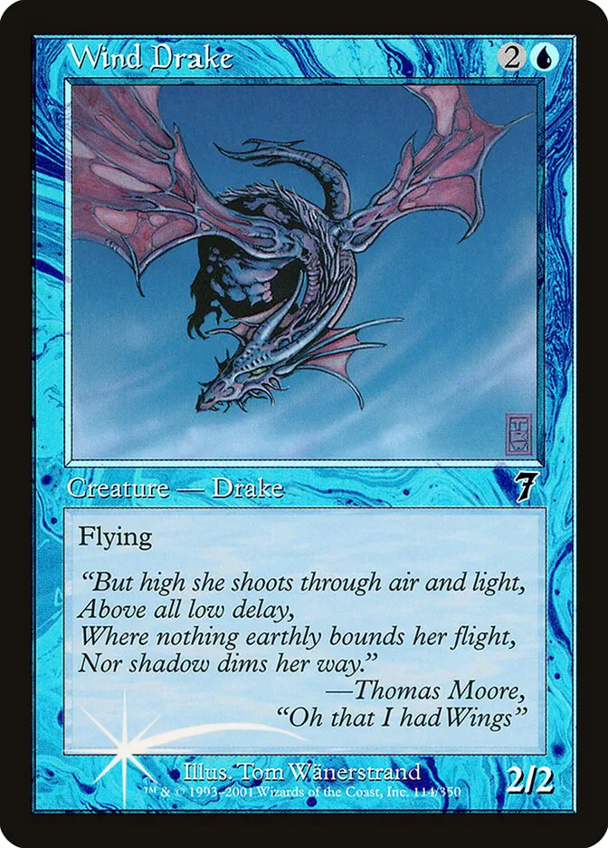 Wind Drake image 16