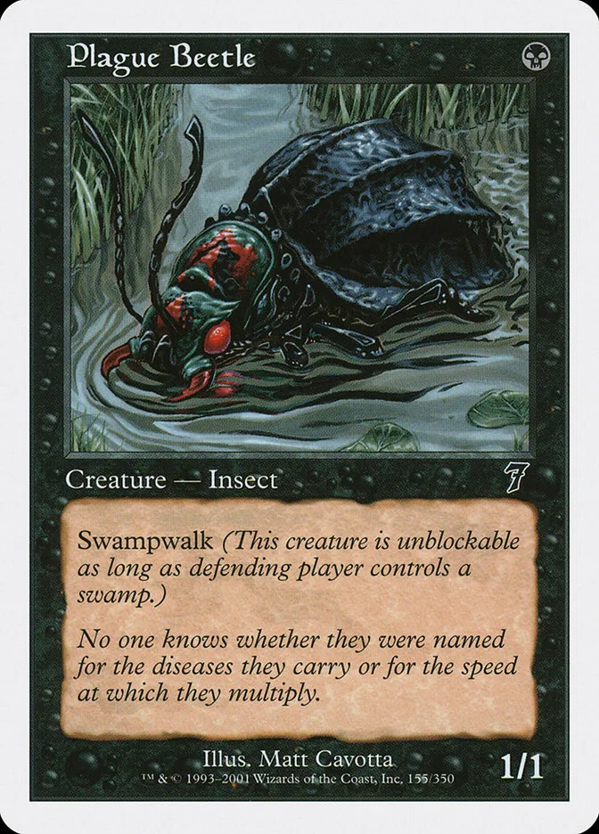 Plague Beetle image 6