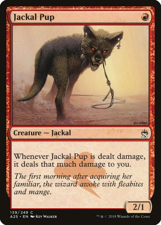 Jackal Pup image 3