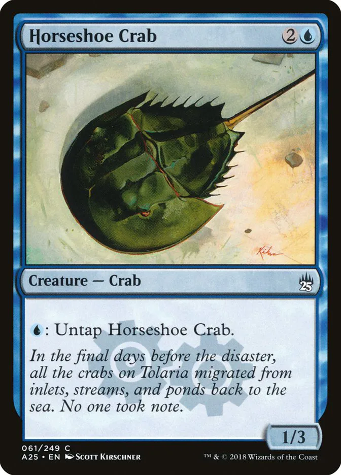 Horseshoe Crab image 2