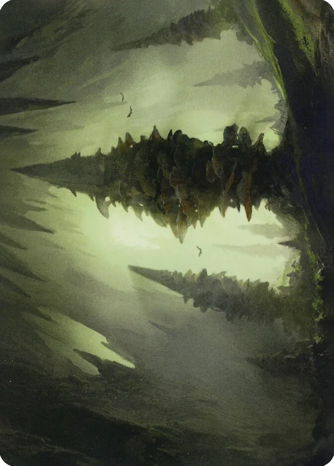 Forest // Forest image 11