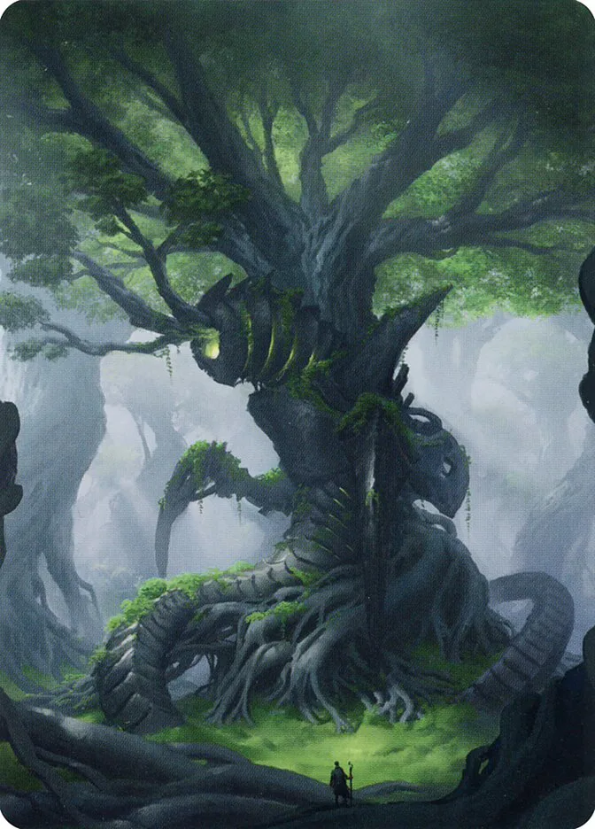 Forest // Forest image 9