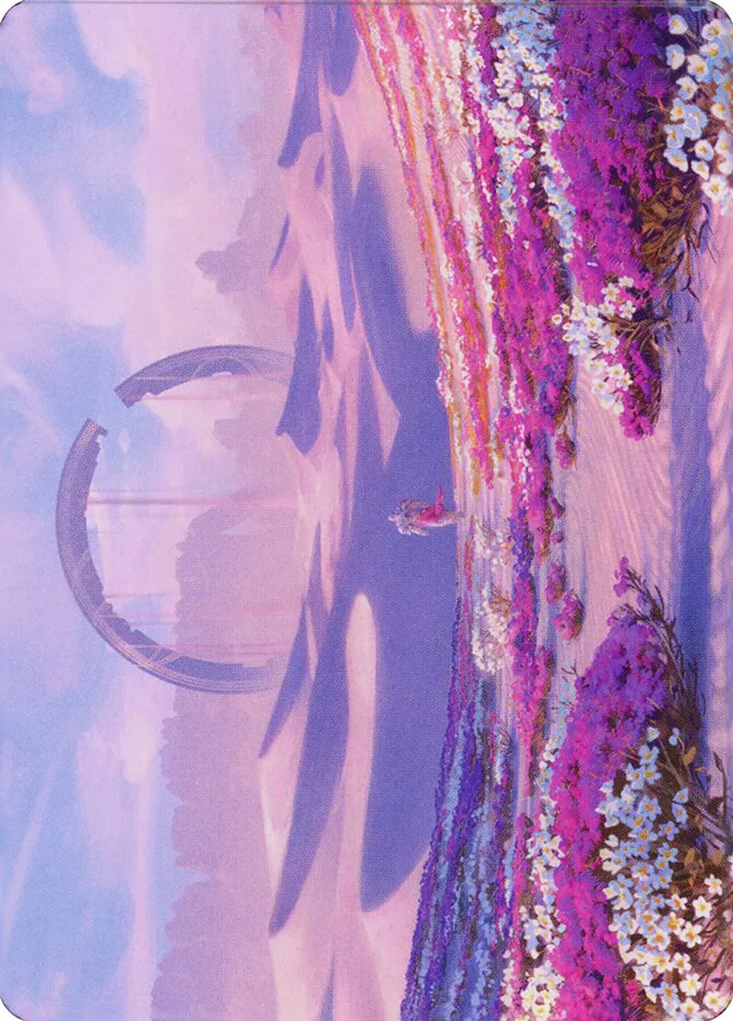 Plains // Plains image 16