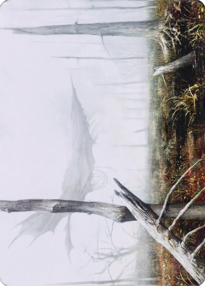 Swamp // Swamp image 10