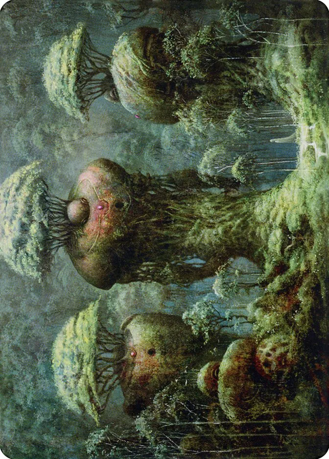 Forest // Forest image 13