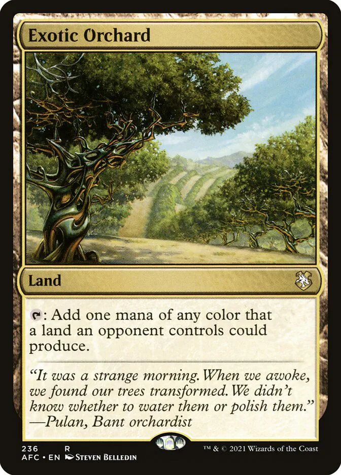 Exotic Orchard image 17
