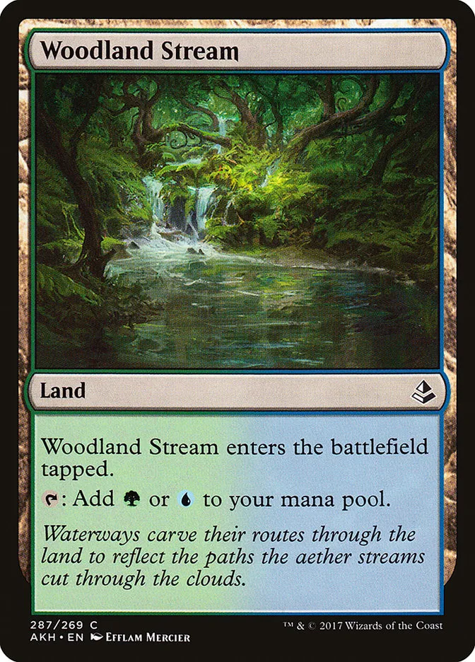 Woodland Stream image 9