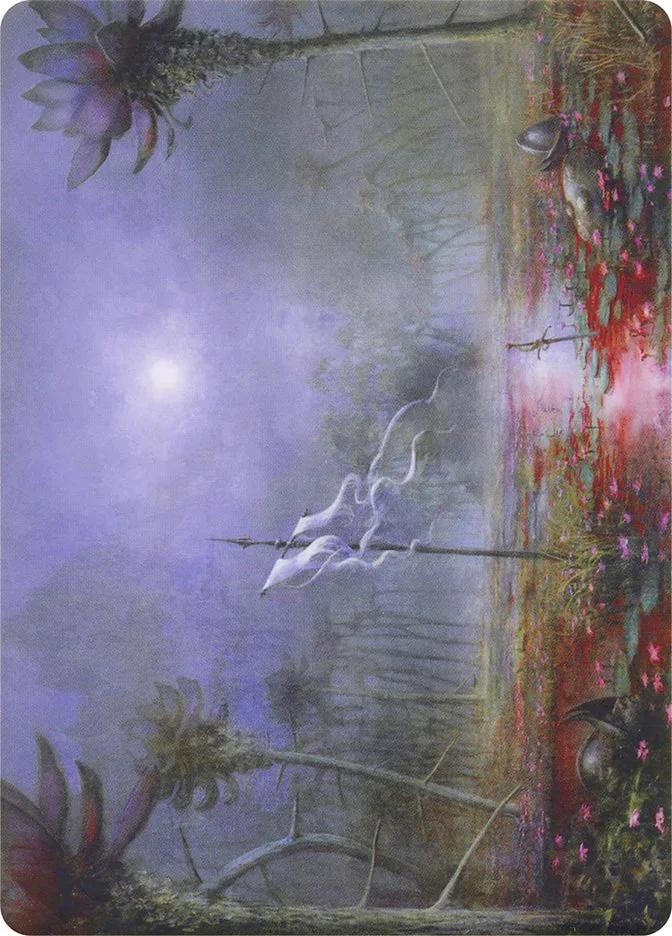 Silent Clearing // Silent Clearing