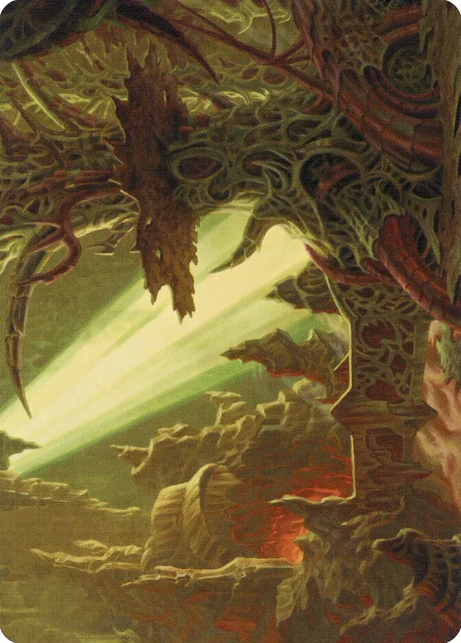 Darkmoss Bridge // Darkmoss Bridge