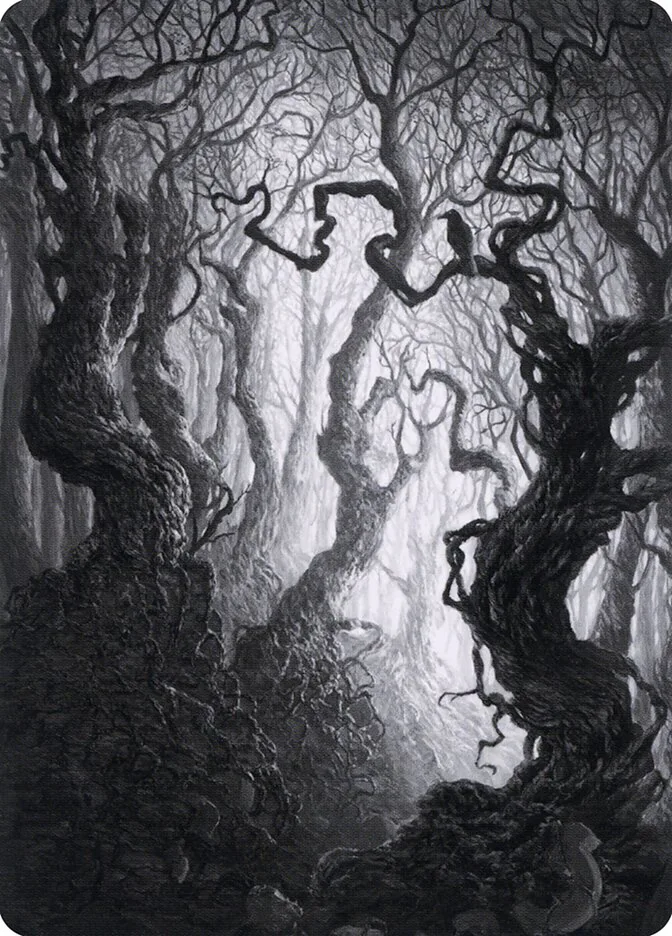 Forest // Forest image 14