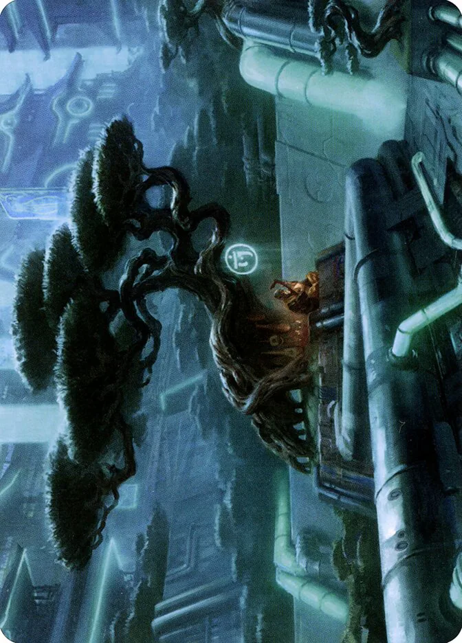 Forest // Forest image 6