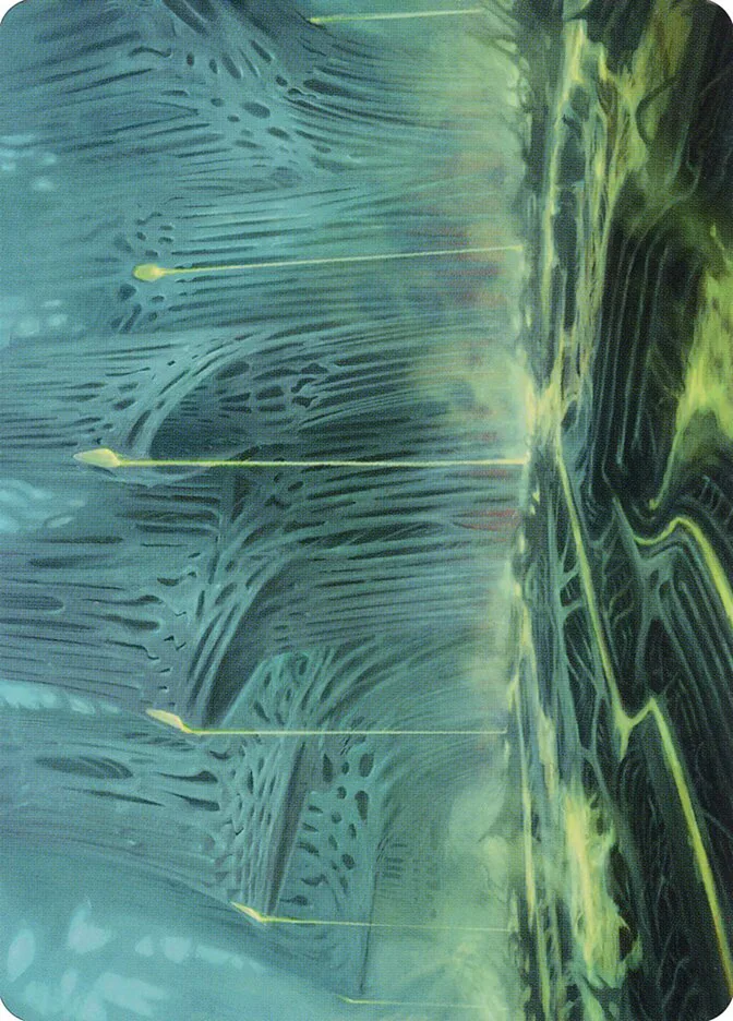 Swamp // Swamp image 9