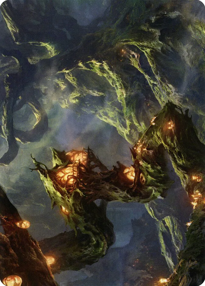 Forest // Forest image 7