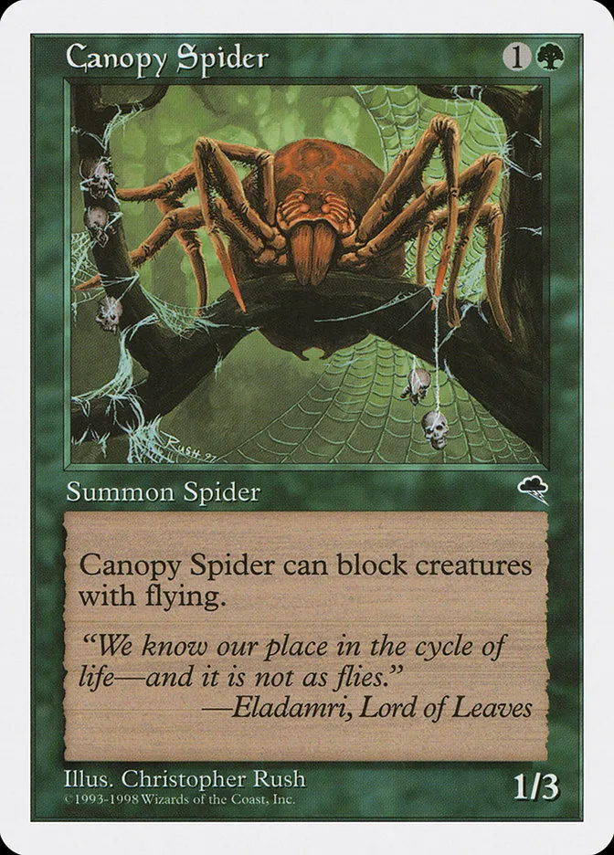 Canopy Spider