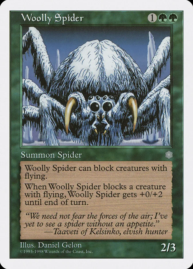 Woolly Spider image 2