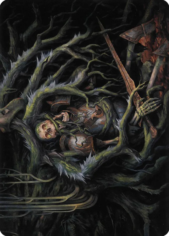 Retrieve // Retrieve