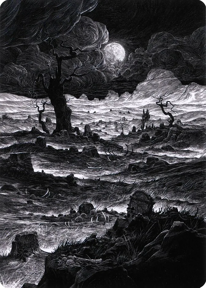 Plains // Plains image 17