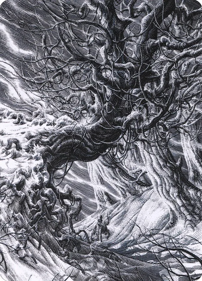 Forest // Forest image 16