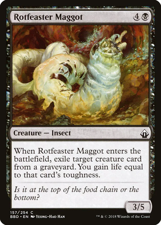 Rotfeaster Maggot image 3