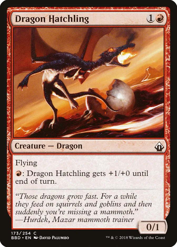 Dragon Hatchling image 4
