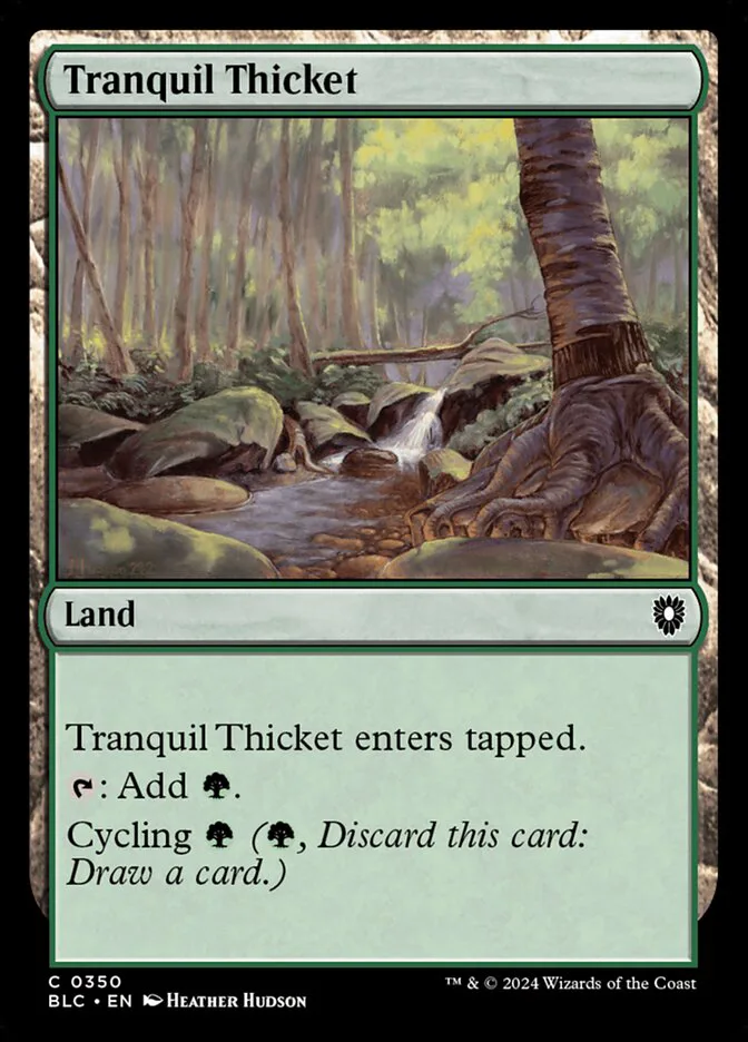 Tranquil Thicket image 21