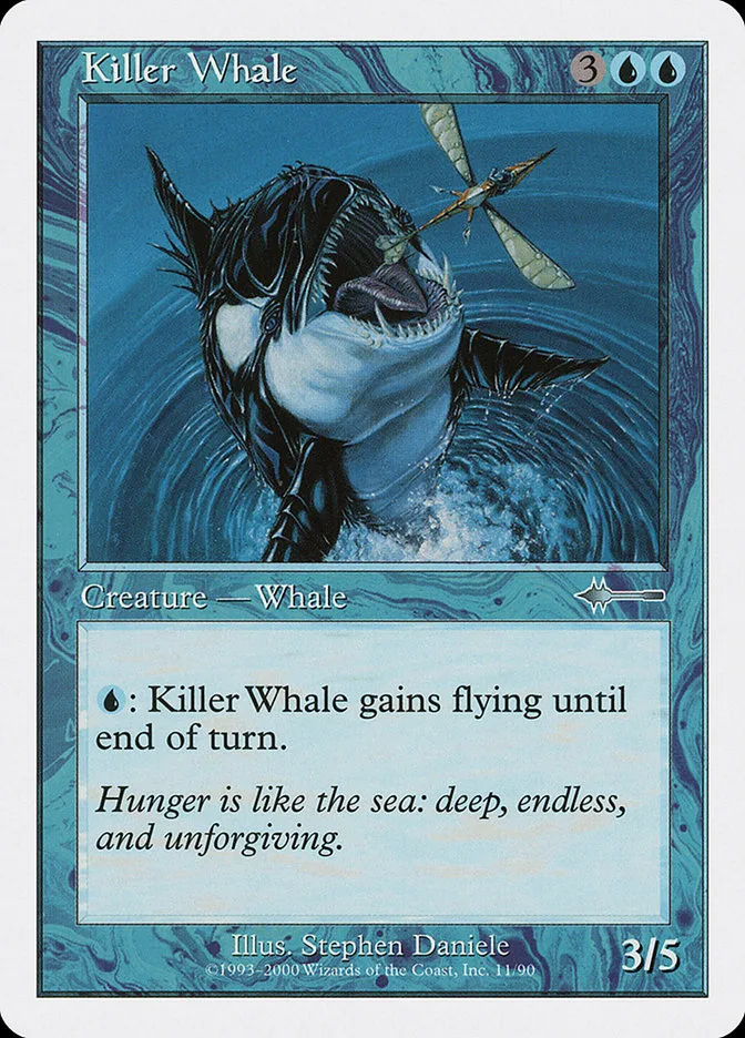 Killer Whale image 1
