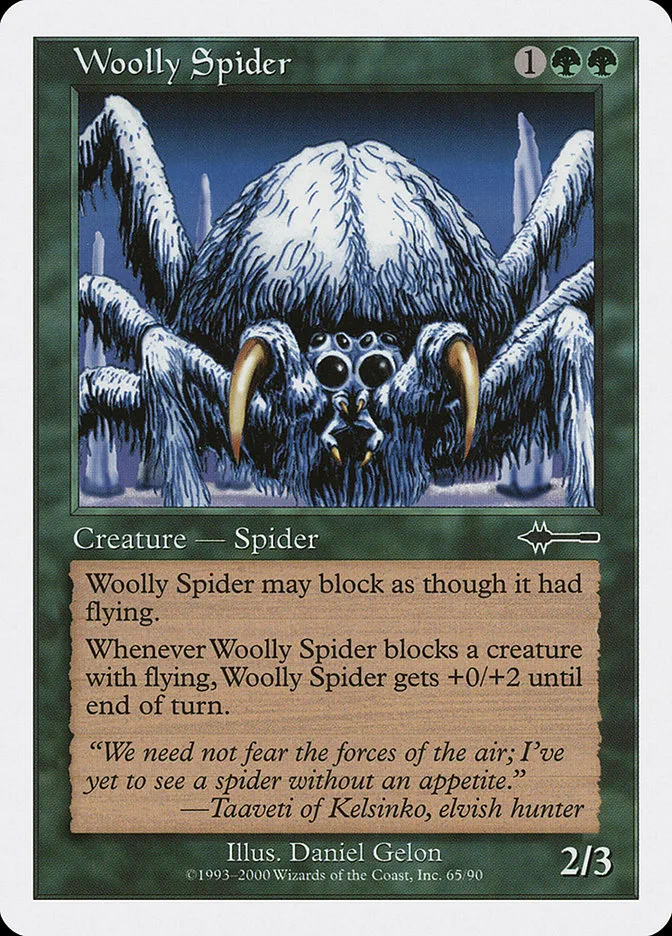 Woolly Spider image 3