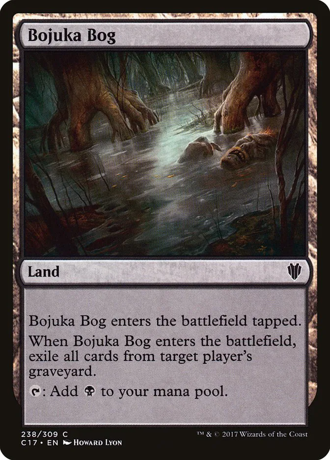 Bojuka Bog image 13