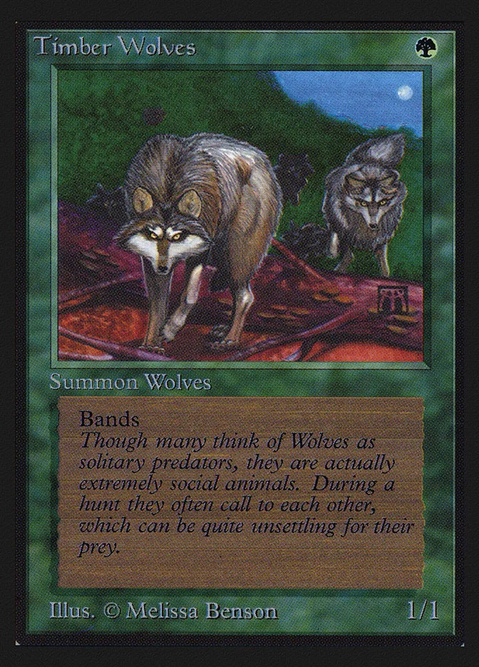 Timber Wolves image 7