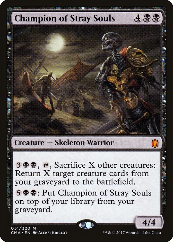 Champion of Stray Souls image 1