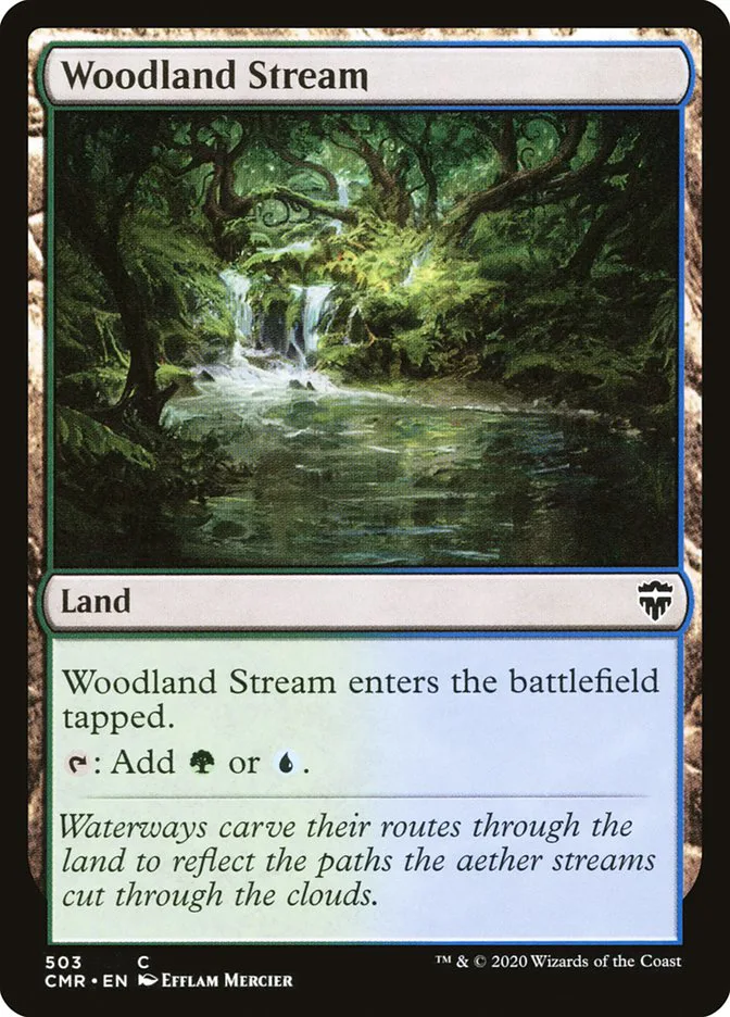 Woodland Stream image 12