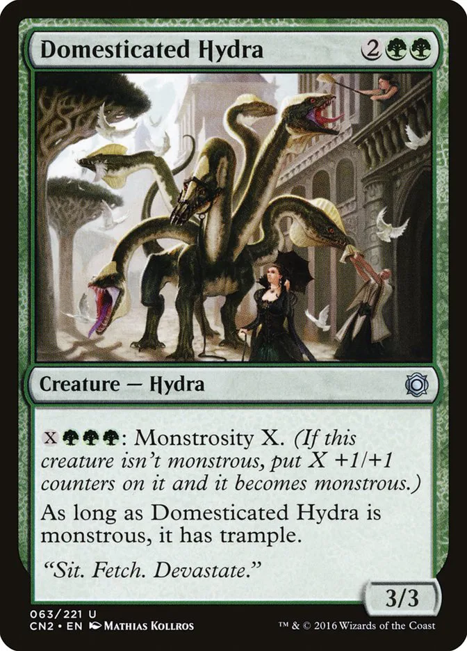 Domesticated Hydra image 2