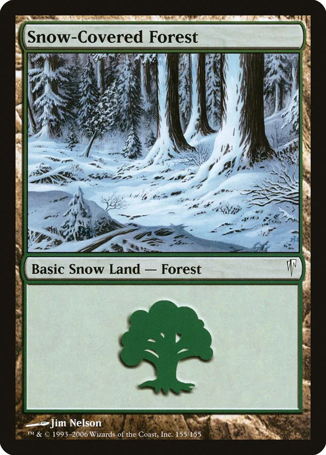Snow-Covered Forest image 3