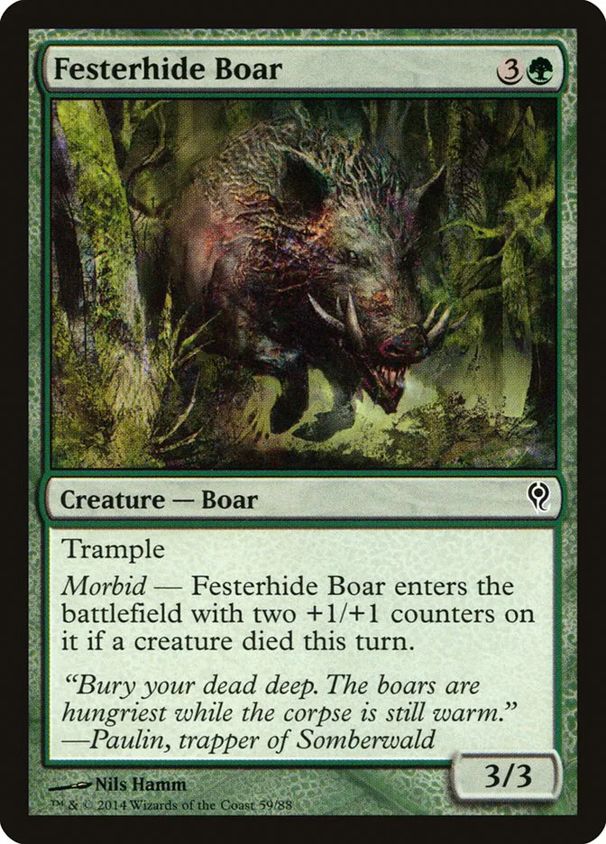 Festerhide Boar image 1