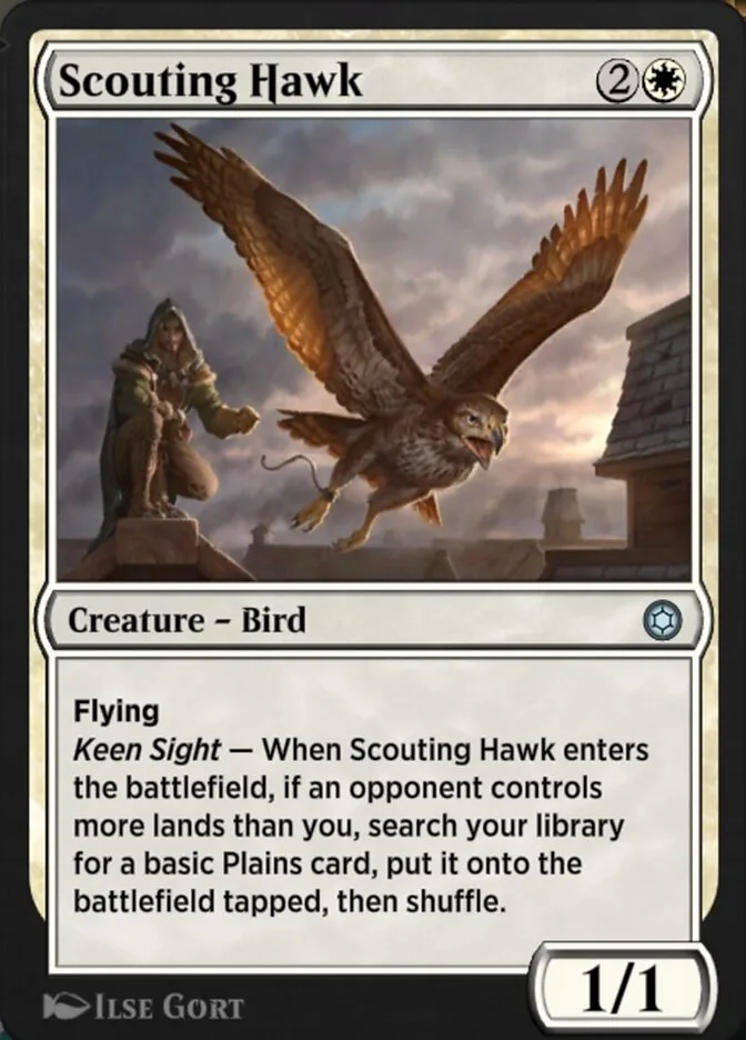 Scouting Hawk image 2