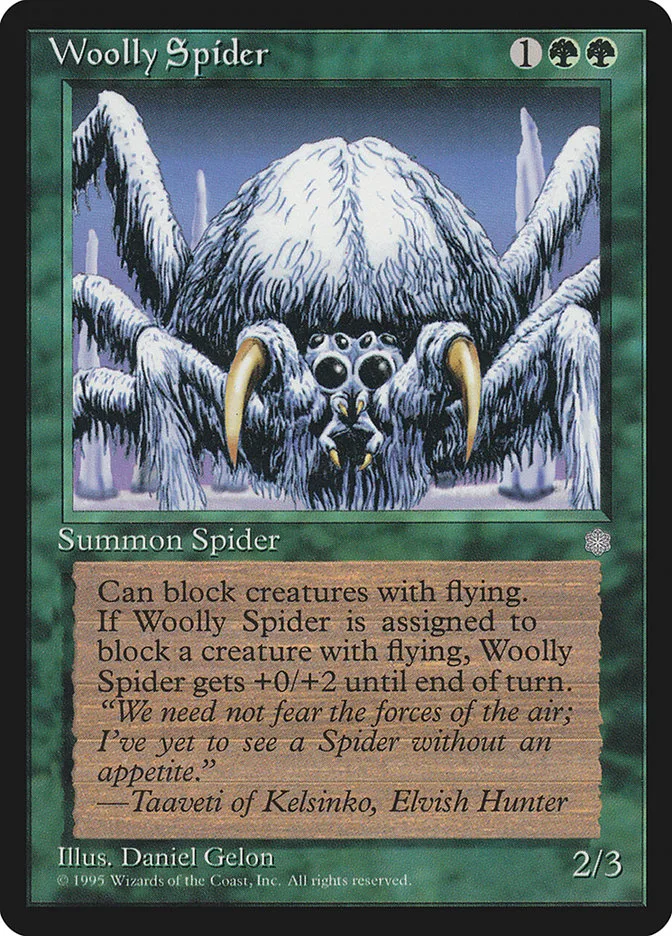 Woolly Spider image 5