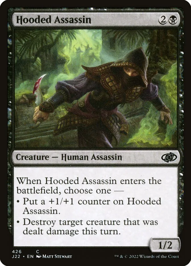 Hooded Assassin image 2
