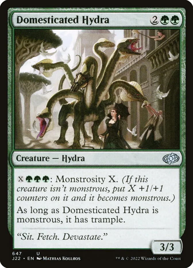 Domesticated Hydra image 3