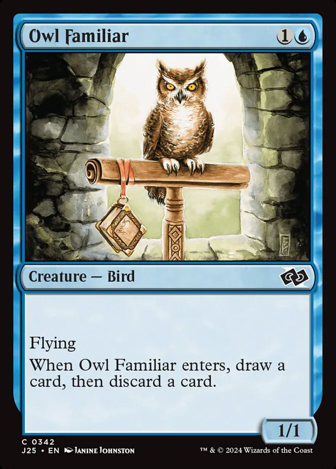 Owl Familiar image 6