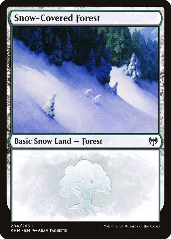 Snow-Covered Forest image 7