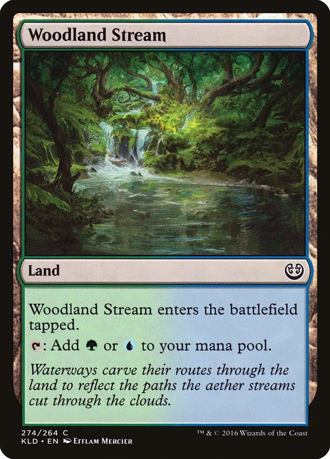 Woodland Stream image 4