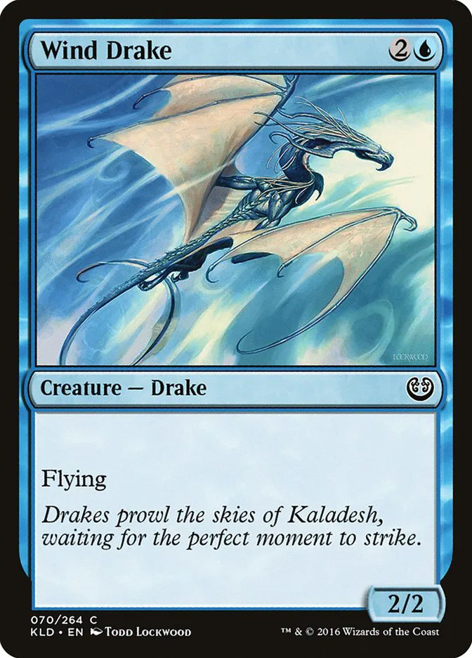 Wind Drake image 3