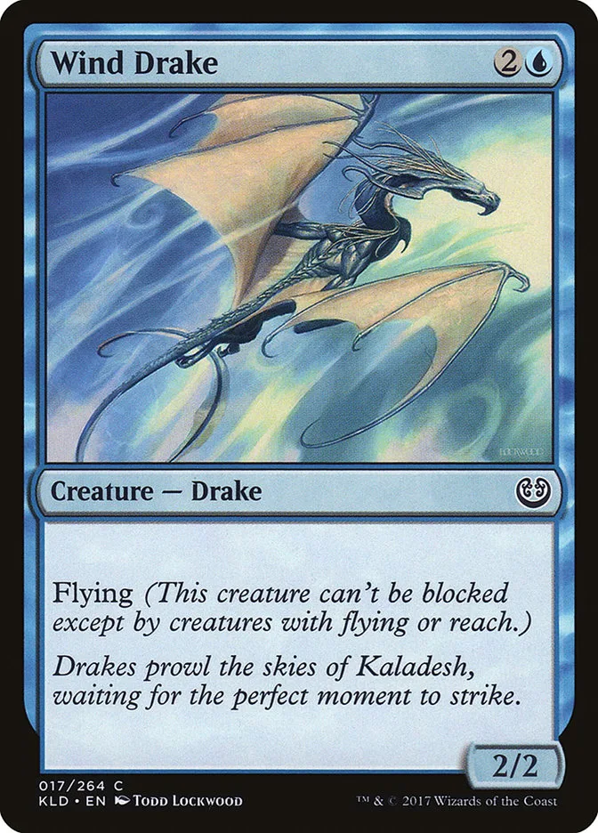 Wind Drake image 4